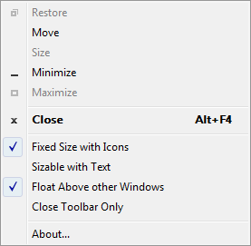 The Magnifier Toolbar menu